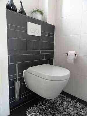 toilettes suspendus